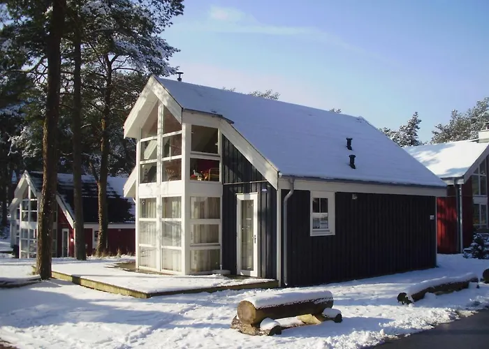 Ostsee Strandhaus Seerobbe