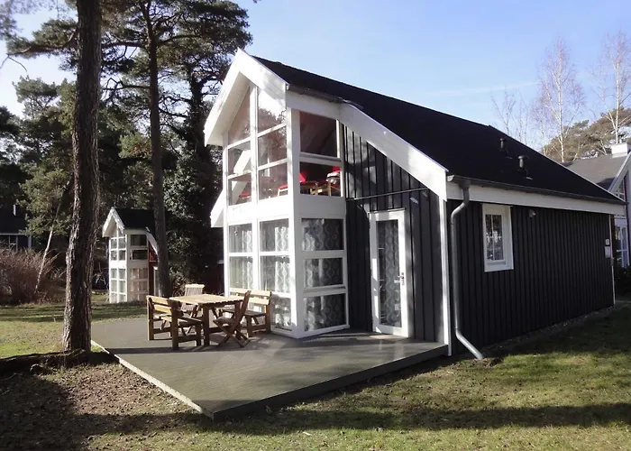 Ostsee Strandhaus Seerobbe