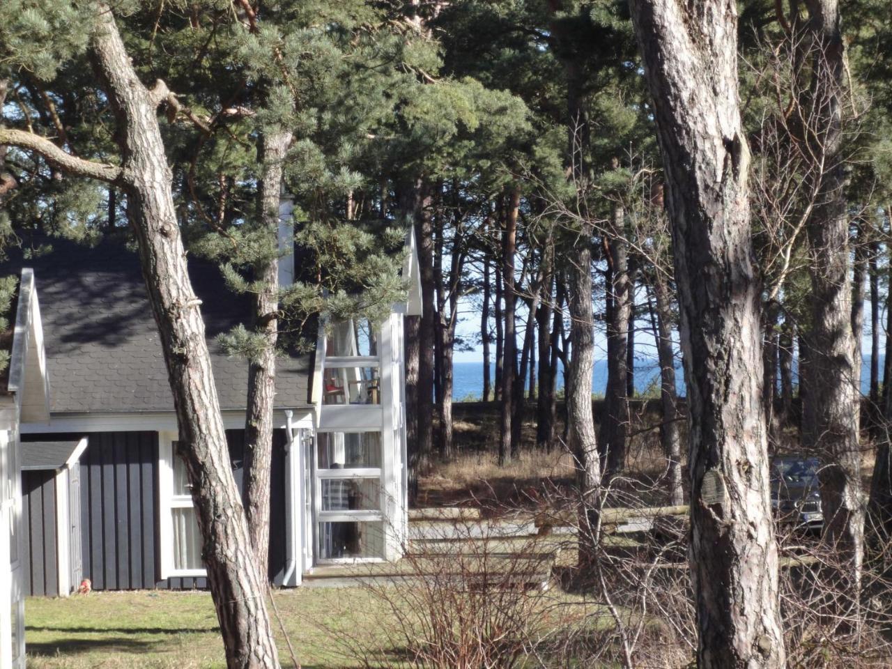 Holiday home Ostsee Strandhaus Seerobbe Baabe