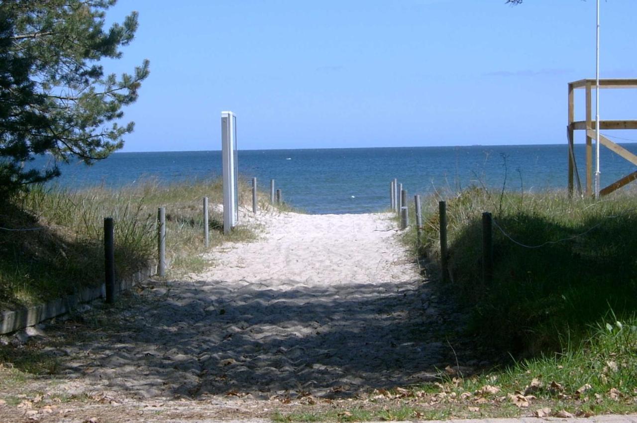 Ostsee Strandhaus Seerobbe Ferienhaus *