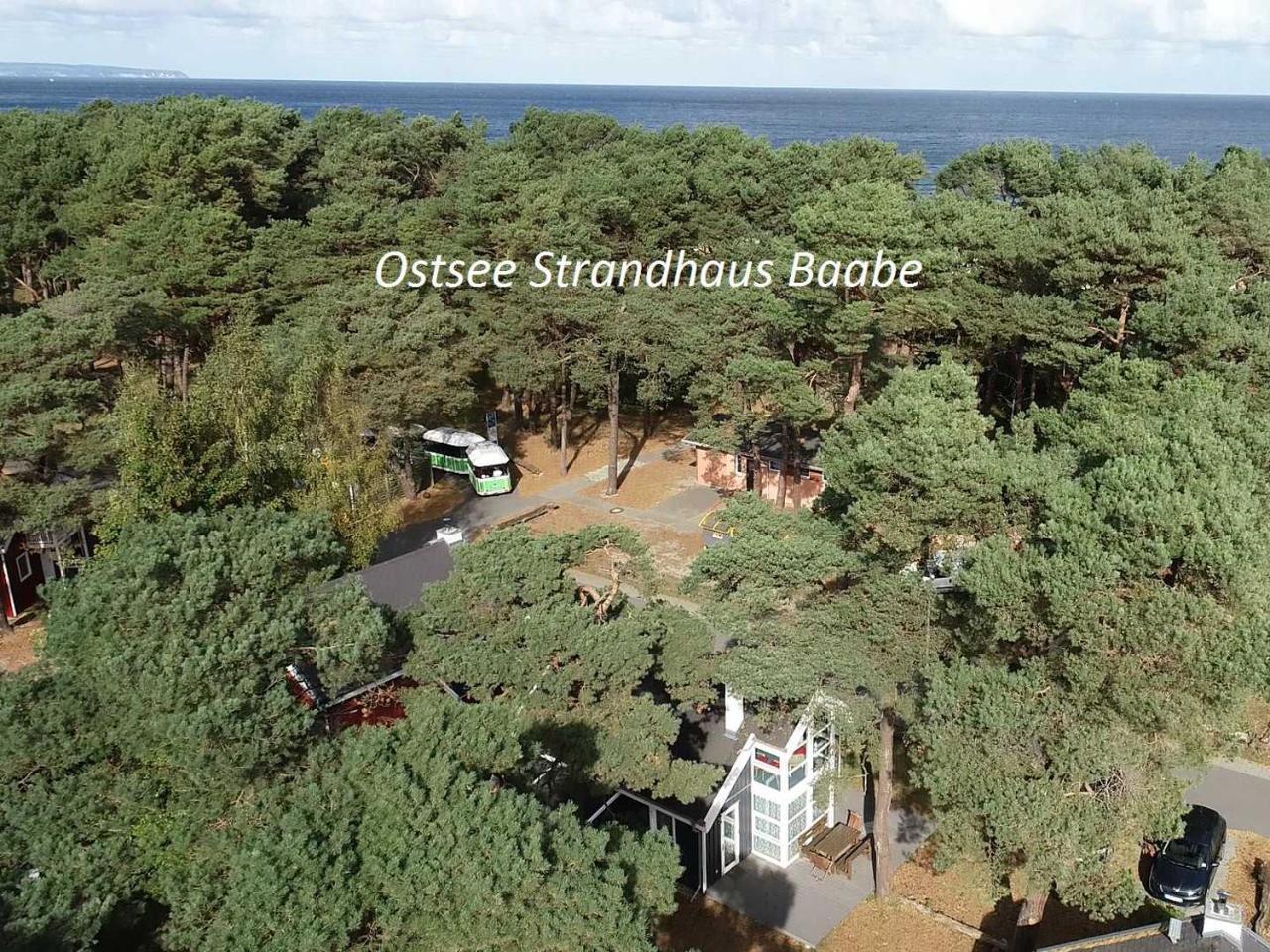 Ostsee Strandhaus Seerobbe
