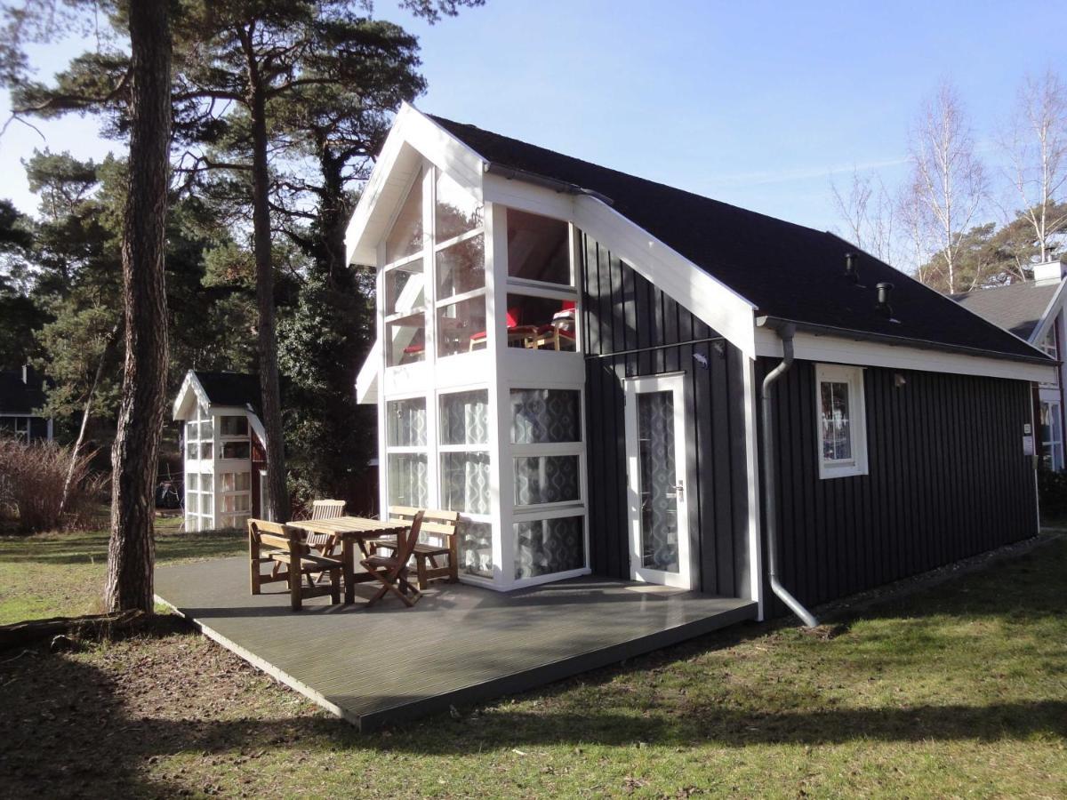 Ferienhaus Ostsee Strandhaus Seerobbe